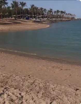 a beach with palm trees and the water at شاليه داخل ميراج اكوا بارك عائلات فقط غير مخصص للشباب in Hurghada