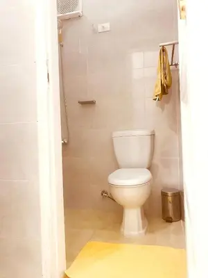a bathroom with a white toilet in a room at Alam B&B Luxor in Luxor
