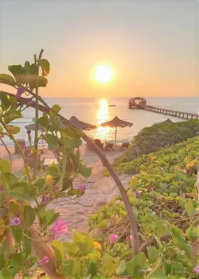 a sunset on a beach with a bridge and flowers at Rohanou Beach Resort in Quseir