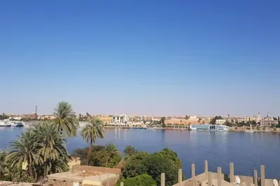 a view of a river with palm trees and buildings at Elminaa Residents 3 in Luxor