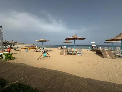 a beach with umbrellas and chairs and the ocean at Ziena marvel camp in Quseir
