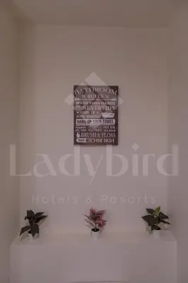 a wall with two plants and a sign on it at Ladybird - Veranda Highline in Hurghada