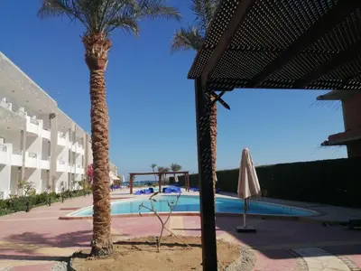 a palm tree next to a swimming pool at Apartment in Cecelia Resort in Hurghada