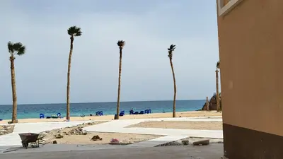 a beach with palm trees and the ocean in the background at Juliana beach in Hurghada