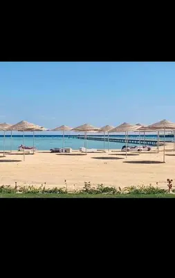 a group of umbrellas on a beach next to the water at Scandic Resort in Hurghada