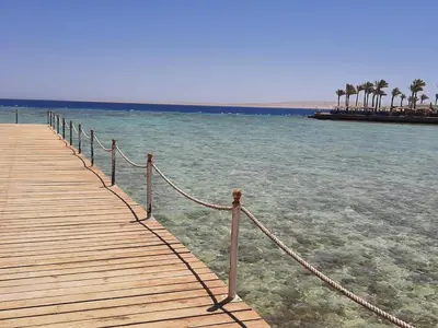 a wooden pier in the water with palm trees at Oscar luxury free WiFi 15 in Hurghada