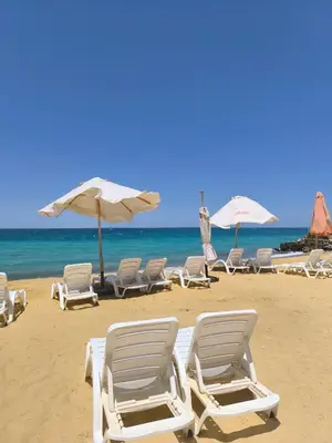 a group of chairs and umbrellas on a beach at Terracotta studio with amazing beach and sea view in Hurghada