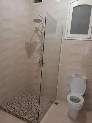 a bathroom with a shower and a toilet at Luxor Palm Villa in Luxor