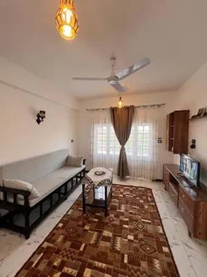 a living room with a couch and a tv at Luxor Sun Villa in Luxor