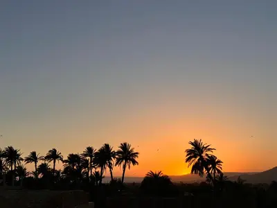 a sunset with palm trees in the foreground at Luxor Sun Villa in Luxor
