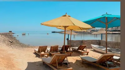 a group of chairs and umbrellas on a beach at Sea Life Hurghada Apartments in Hurghada