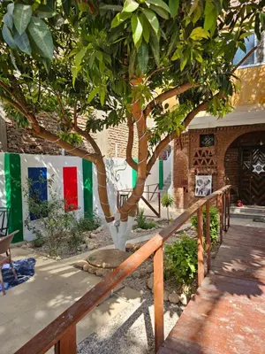 a tree in front of a building with a fence at Casa Helvetica in Luxor