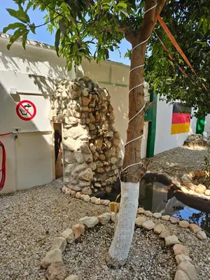 a tree in front of a building with a stone oven at Casa Helvetica in Luxor