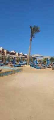 a palm tree on a sandy beach with a palm tree at Egypt Traveler Hotel in Hurghada