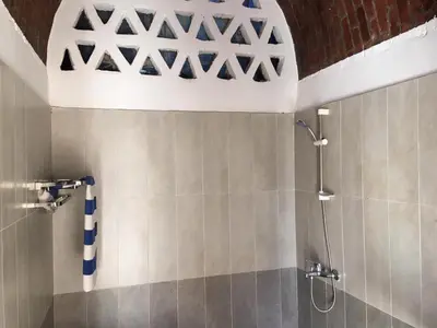 a bathroom with a shower and a ceiling at Garden view guest house in Luxor