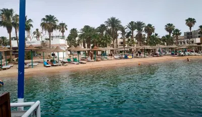 a view of a beach with palm trees and umbrellas at Elixir in Hurghada