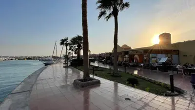 a sidewalk with palm trees next to the water at Comfort Marine in Hurghada