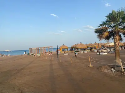 a beach with palm trees and umbrellas and the ocean at Mangroovy retreat in Hurghada