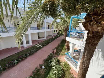a palm tree next to a building with a staircase at Chalet in mirage resort bay resort & aqua park in Hurghada