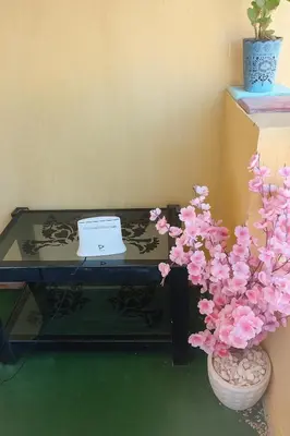 a table with a laptop on it next to a plant at Wavesong Whispers flat where you can enjoy seaview with the best price and enjoy speedy wifi in Hurghada