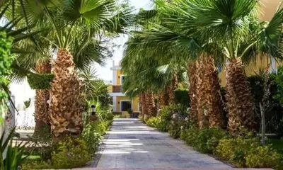 a walkway with palm trees and a building at شاليه في منتجع ميراج in Hurghada