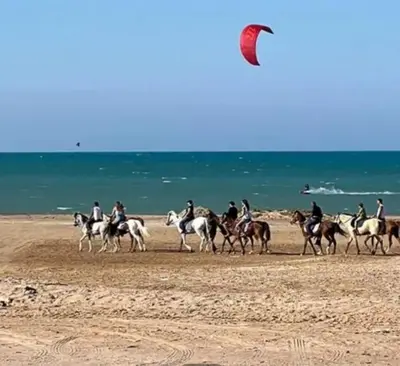 a group of people riding horses on the beach at Hotel Room in Aqua Palms Hurghada in Hurghada