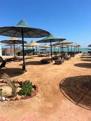 Gallery image of Fox House Resort in Hurghada