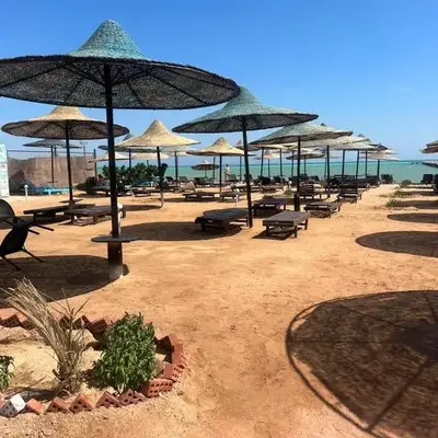 Fox House Resort