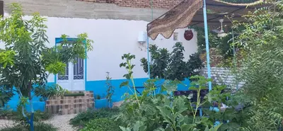 a blue and white house with plants in the yard at Osama House Luxor in Al Qurnah