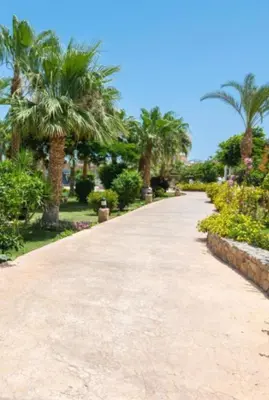 a pathway with palm trees in a park at Two Bedroom Apartment in Lilly Land in Hurghada