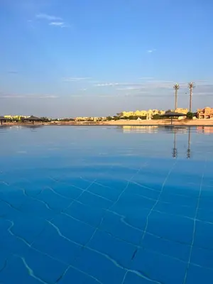 a pool of water with palm trees in the background at El gouna , Red sea in Hurghada
