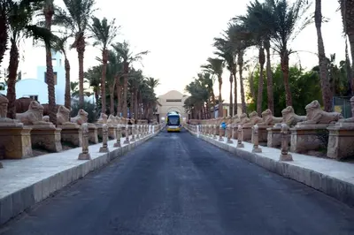 a yellow car driving down a road with palm trees at Mirage Bay Mina Land Resort & Aquapark in Hurghada