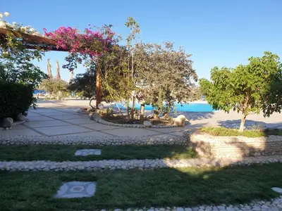 a walkway near the beach with trees and the water at Studio for rent 202 in Hurghada