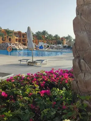 Gallery image of Stella de Mari chalet in Makadi with beach in Hurghada