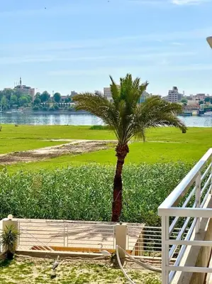 a palm tree and a boat in a field at Royal Nile Suites - Nile View 2 in Al Aqālitah