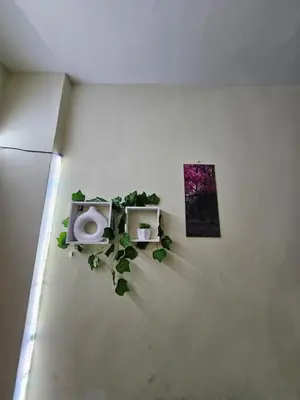 a bathroom with a toilet and plants on the wall at Desert Rose residence 1 bedroom flat in El Kawher in Hurghada