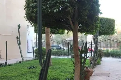 a cat sitting next to a tree in a yard at Desert Rose residence 1 bedroom flat in El Kawher in Hurghada