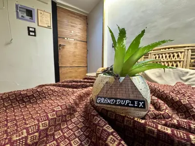 a potted plant sitting on top of a bed at Grand Duplex in Aswan