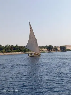 a boat with a large sail in the water at The Adventures of Aga Khan in Aswan