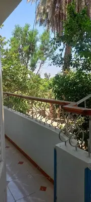 a balcony with a view of a palm tree at Villa Rose - Luxor in Luxor