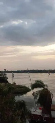 a view of a river with a boat and a palm tree at Villa Rose - Luxor in Luxor