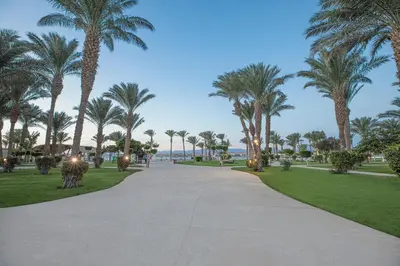 a walking path in a park with palm trees at Pyramisa Beach Resort Sahl Hasheesh in Hurghada