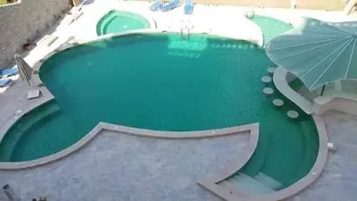 a green pool with an umbrella next to it at Turtles Beach resort hourghada Studio view sea view pool private beach jacuzzi pools air-conditioned restaurant on the beach jacuzzi security and a large sunny balcony in Hurghada