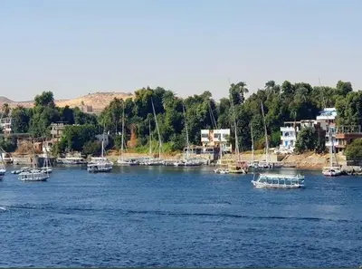 a group of boats in a large body of water at شقق للإيجار بأسوان in Aswan
