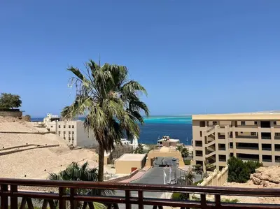 a view of a building and a palm tree and the ocean at The view hurghada in Hurghada