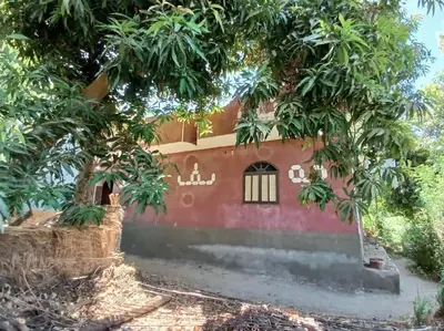 a house with trees in front of it at Sobhy Kana House in Aswan