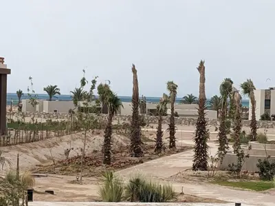 a row of palm trees in front of the ocean at 2BR Somabay Twin Villa in Mesca Near Beach & Pools in Hurghada