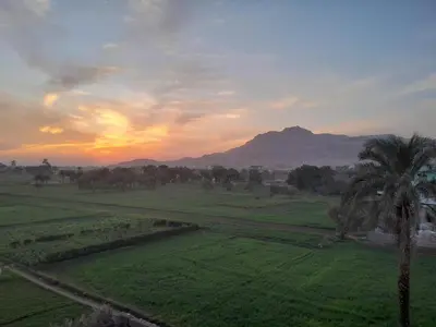 a sunset over a field with palm trees and a mountain at siriuspalaceluxor in Al Karnak