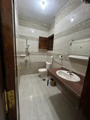 a bathroom with a sink and a toilet at Continental flat in Al Qurnah