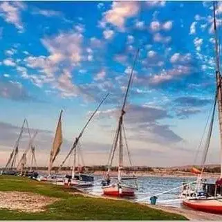 a group of sailboats are docked in the water at Aswan in Aswan